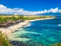 Ho`okipa Beach Park in Maui Hawaii, windsurfing site, big waves and big Turtles Royalty Free Stock Photo