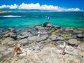 Ho`okipa Beach Park in Maui Hawaii, windsurfing site, big waves and big Turtles