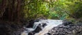 Ho\'olawa Stream Cascades Through The Ko\'olau Rain Forest Royalty Free Stock Photo