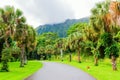 HoÃ¢â¬â¢omaluhia Botanical Garden in Oahu, Hawaii