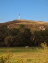 Hoad hill historic 19th century monument in Ulverston with a horse grazing in a meadow