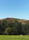 hoad hill historic 19th century monument in Ulverston with a horse grazing in a meadow