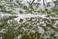 Hoan Kiem Lake, Hanoi, Vietnam. Royalty Free Stock Photo