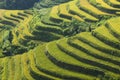 Hoang Su Phi in Ha Giang of Vietnam, beautiful landscape of Hoang Su Phi Royalty Free Stock Photo