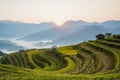 Hoang Su Phi in Ha Giang of Vietnam, beautiful landscape of Hoang Su Phi Royalty Free Stock Photo