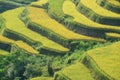 Hoang Su Phi in Ha Giang of Vietnam, beautiful landscape of Hoang Su Phi Royalty Free Stock Photo