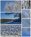 Hoar Forest - Blue and White Wintry Cold Collage