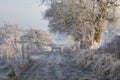 Hoar frost, England