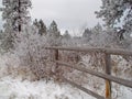 Hoar Frost and Fence Royalty Free Stock Photo