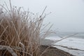 Hoar frost on grass at the edge of a frozen lake Royalty Free Stock Photo