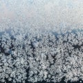 Hoar frost on window pane on winter evening Royalty Free Stock Photo