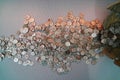 Hoard of silver Roman coins