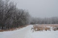 Hoarfrost covered trees along a path on a foggy winter morning at Assiniboine Forest in Winnipeg, Manitoba, Canada Royalty Free Stock Photo