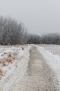 Hoarfrost covered trees along a path on a foggy winter morning at Assiniboine Forest in Winnipeg  Manitoba  Canada Royalty Free Stock Photo