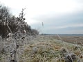 Hoarfrost forest road Royalty Free Stock Photo