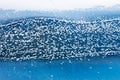 Hoarfrost on frozen river