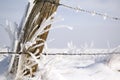 Hoarfrost on grass