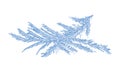 Hoarfrost Ice Frost Composition Royalty Free Stock Photo