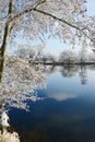 Hoarfrost landscape on Havel River Havelland, Germany Royalty Free Stock Photo