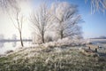 Hoarfrost landscape on Havel River Havelland, Germany Royalty Free Stock Photo