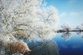 Hoarfrost landscape on Havel River Havelland, Germany Royalty Free Stock Photo