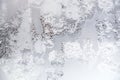 Hoarfrost tracery on frozen window glass