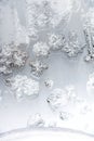 Hoarfrost tracery on frozen window glass