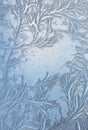 Window frost pattern on glass Royalty Free Stock Photo