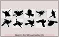 Hoatzin bird black silhouette vector,Cigana bird in profile view,Hoatzin bird Opisthocomus hoazin, Silhouetted