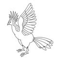 Hoatzin tropical bird. Editable outline stroke. Vector line illustration.