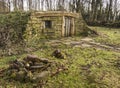 Hobbit Home in the woods