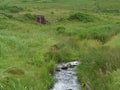 Hobbit House and Stream