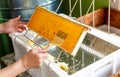 Hobby beekeeper extracting honey from honeycomb concept.