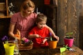 Hobby concept. Little child help woman planting flower in pot with soil, hobby. Indoor gardening as hobby. Enjoy family Royalty Free Stock Photo