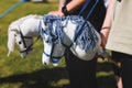 Hobby horsing competition on a green grass, hobby horse riders jumping, equestrian sport training with stick toy horses in a