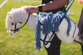 Hobby horsing competition on a green grass, hobby horse riders jumping, equestrian sport training with stick toy horses in a