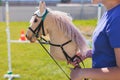 Hobby horsing competition on a green grass, hobby horse riders jumping, equestrian sport training with stick toy horses in a