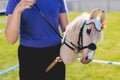 Hobby horsing competition on a green grass, hobby horse riders jumping, equestrian sport training with stick toy horses in a