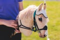 Hobby horsing competition on a green grass, hobby horse riders jumping, equestrian sport training with stick toy horses in a