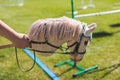 Hobby horsing competition on a green grass, hobby horse riders jumping, equestrian sport training with stick toy horses in a