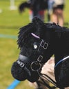 Hobby horsing competition on a green grass, hobby horse riders jumping, equestrian sport training with stick toy horses in a