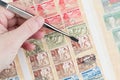 Hobbyist Removes Stamp from Album