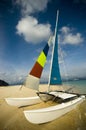 Hobie Cat Royalty Free Stock Photo