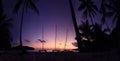 Hobie cat or catamaran on the beach at beautiful sunrise early morning Royalty Free Stock Photo