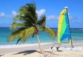 Hobie Cat catamaran ready for tourists at Bavaro Beach in Punta Cana