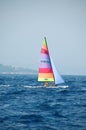 Hobie cat sailing Royalty Free Stock Photo