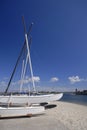 Hobie catamarans at the beach Royalty Free Stock Photo