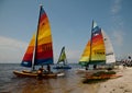 Hobie Cats on Florida`s Gulf Coast