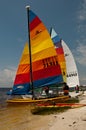 Hobie Cats on Florida`s Gulf Coast