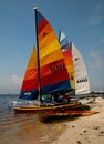 Hobie Cats on Florida`s Gulf Coast